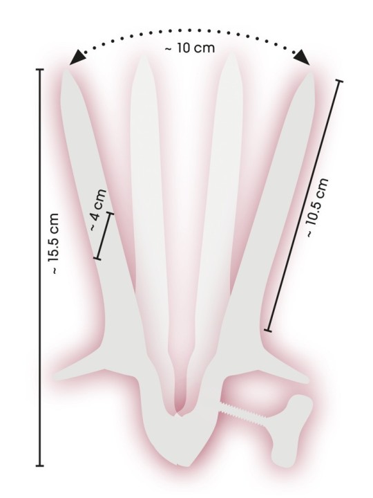 SPECULUM VAGINALE "COLLIN"