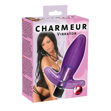 PLUG ANALE VIBRANTE CHARMEUR