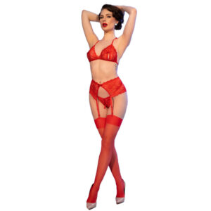 CHILIROSE - CR 4848 SET SUJETADOR + TANGA + MEDIAS DE ENCAJE ROJO S - immagine 4