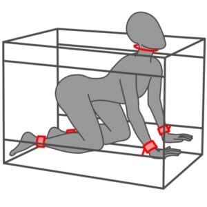 SECRET DOME - KINK CLUB LA NICHE CABIN NERO E ROSSO - immagine 12