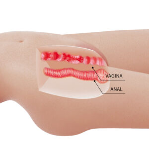 CRAZY BULL - MIA TORSO FEMMINILE REALISTICO VAGINA E ANALE 8,5 KG - immagine 7